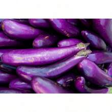 Long Purple Italian Eggplant Seeds, Fingerling, NON-GMO, FREE SHIPPING Outdoor Flowers Plants Gardening Nature - 150粒種子 - 查看 3