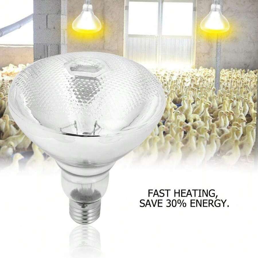 1/2PCS INFRA WHITE HEAT BULB LAMP RUBY 250W Poultry Chick Brooder Lamb Livestock - 200 Watts - View 1