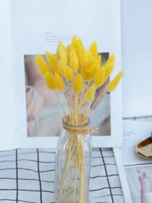 Rabbit Tail Grass Dried Flowers Rabbit Tail Grass Real Flowers Perpetual Flowers Dog Tail Grass Dried Flower Bouquets Wholesale Shooting Props, Ins Bouquets Flowers Home Living Room Decorative Arrangements Dried Arrangements Rabbit Tail Grass Dog Tail Grass Dried Flowers.