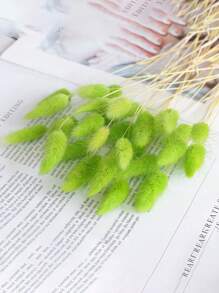 Rabbit Tail Grass Dried Flowers Rabbit Tail Grass Real Flowers Perpetual Flowers Dog Tail Grass Dried Flower Bouquets Wholesale Shooting Props, Ins Bouquets Flowers Home Living Room Decorative Arrangements Dried Arrangements Rabbit Tail Grass Dog Tail Grass Dried Flowers.