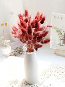 Rabbit Tail Grass Dried Flowers Rabbit Tail Grass Real Flowers Perpetual Flowers Dog Tail Grass Dried Flower Bouquets Wholesale Shooting Props, Ins Bouquets Flowers Home Living Room Decorative Arrangements Dried Arrangements Rabbit Tail Grass Dog Tail Grass Dried Flowers.