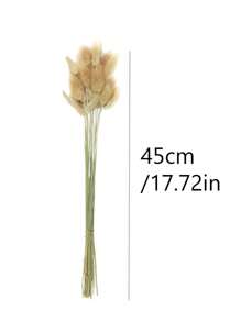Rabbit Tail Grass Dried Flowers Rabbit Tail Grass Real Flowers Perpetual Flowers Dog Tail Grass Dried Flower Bouquets Wholesale Shooting Props, Ins Bouquets Flowers Home Living Room Decorative Arrangements Dried Arrangements Rabbit Tail Grass Dog Tail Grass Dried Flowers.