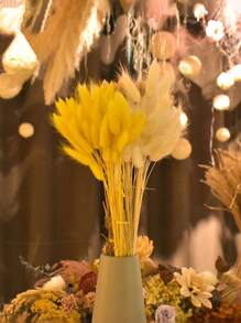 Rabbit Tail Grass Dried Flowers Rabbit Tail Grass Real Flowers Perpetual Flowers Dog Tail Grass Dried Flower Bouquets Wholesale Shooting Props, Ins Bouquets Flowers Home Living Room Decorative Arrangements Dried Arrangements Rabbit Tail Grass Dog Tail Grass Dried Flowers.