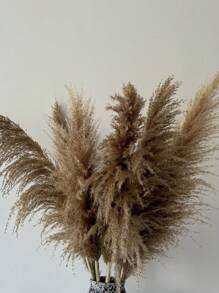 Pampas Grass Decor Tall 36 Inches,8pcs Stems Tall Pampas Grass For Floor Vase,Large Natural Dried Pompass Grass Branches Tall Fluffy,Or Home Tall Pampas Grass Decor - Natural Large Pompas Floral, Dried Flowers Bouquet For Wedding, Tall Pampas Grass For Floor Plants Decor, Boho Home Decor, Party Decor