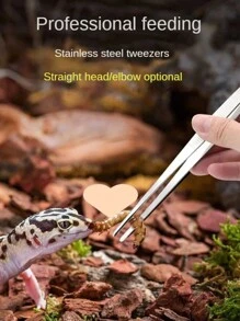 3pcs Stainless Steel Multifunctional Steel Elbow Tweezers Long Pliers Medical Tweezers Feeding Tool Anti-Slip