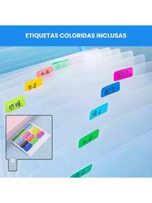 A4 Document Folder With Accordion Dividers, Organizer With Labels, Waterproof Office Size - 綠色 - 查看 5