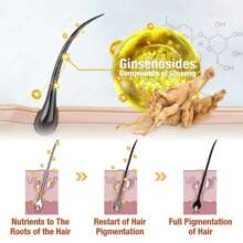 Hoegoa Black Hair Shampoo Polygonum Multiflorum Essence Moisturizes And Nourishs Natural Black Hair Silky Glossy Shampoo,150ML*2pcs