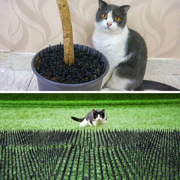 1 Stück/2 Stück/5 Stück Anti-Katzen-Matte, schwarz, Balkon Anti-Katzen-Netz, Garten Anti-Katzen-Plastikstacheln, verhindert das Eindringen von Katzen in Gartenpflanzen, Schutznetze, Anti-Katzen-Kratzer-Tool, Sofa-Schutznetzmatte, Pflanzenschutzmatte, verbindbares Schutznet, geeignet für Innen- und Außenbereich, hält Katzen fern, Haustier-Haushalts-Katzenschreck, zurechtnehmbares und verbindbares Katzenstachelnetze, abgrenzen von für Haustiere verbotenen Bereichen, Artikel zum Abschrecken von Haustieren für Vegetation und Garten