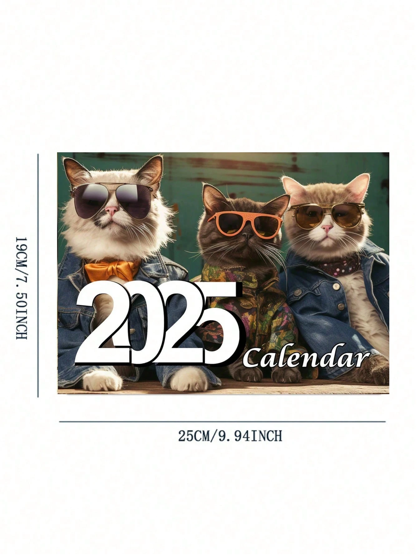 1pc 2025 Wall Calendar 12Month Calendar January 2025 December 2025