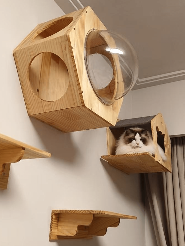 1 Stück Wandmontierter Katzenkletter-Rahmen aus Massivholz, Wandhängende Katzen-Sprungplattform, Kratzbrett für Katzen, Wandmontiertes Katzen-Nest, langanhaltend Haustier-Beschäftigungsspielzeug