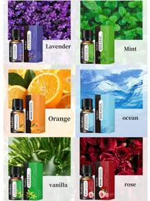 10ml Essential Oil Set, Natural Aromatherapy Oil Diffuser, Stone Humidifier Car Aromatherapy Home Aromatherapy Oil Supplement, Autumn, Winter, Candle Making - Fresh Cut Grass, Gardenia, Rose, Sandalwood, Aromatherapy Essential Oil - Multicolor - View 36