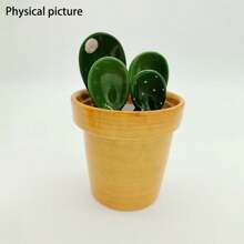 Set de 1 juego de cucharas medidoras de cerámica con diseño de cactus lindo, para cocina y hornear en el hogar