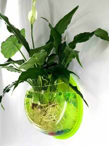1PC Transparent Wall Hanging Planter, Green Orchid Planter With Patch, Rustic Style Simple Wall Planter, Hydroponic Wall-Mounted Fish Tank Creative Wall Decorations, Living Room Dining Room Bedroom Wall Hangings