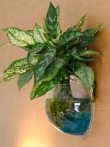 1PC Transparent Wall Hanging Planter, Green Orchid Planter With Patch, Rustic Style Simple Wall Planter, Hydroponic Wall-Mounted Fish Tank Creative Wall Decorations, Living Room Dining Room Bedroom Wall Hangings