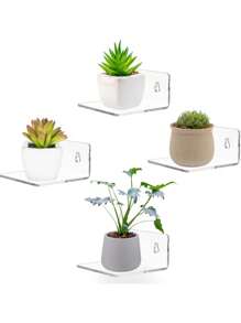 1/2/4/6 chiếc Kệ tường dính Acrylic nhỏ, Kệ tường nổi mini, Giá trưng bày Acrylic, Giá lưu trữ gắn tường, Thích hợp cho những người nổi tiếng, Cây trồng, Hình ảnh và Ảnh Giá treo tường hiện đại, Thích hợp cho trang trí văn phòng, phòng ngủ và phòng khách. (1 Giá trưng bày đi kèm với hai ốc vít và hai miếng keo siêu dính, Sản phẩm có màng bảo vệ, xé ra để sáng hơn) Trang trí phòng - Nhiều màu - Xem 16