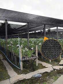 Shade Sails & Nets - Black - View 7