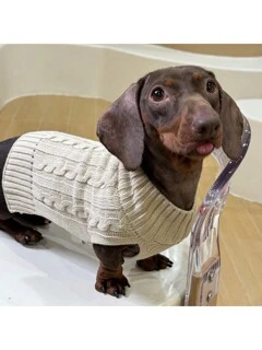 ציוד לחיות מחמד