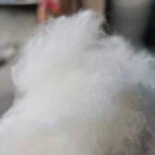 ¡Super descuento!  Una colcha ligera y cálida de 3 kg.  200*230CM  Al utilizar algodón que crece naturalmente bajo las montañas nevadas, puedes sentir el calor del sol en el momento en que lo cubres.