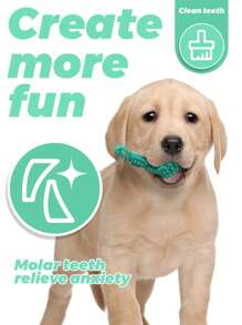 1 件 TPR 材质猫/狗爱好者礼物和狗/猫妈妈喜欢宠物咀嚼玩具，坚固的小狗玩具适合小型犬爱好者和狗妈妈喜欢咬和咀嚼