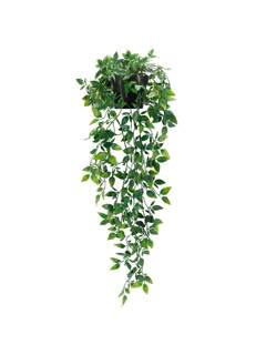 المنزل والمعيشة