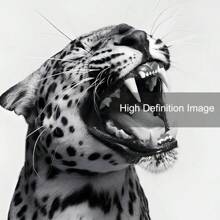 Set di 3 cartellone d'arte senza cornice in bianco e nero con motivi animalier come ghepardi, stampe su tela minimaliste e funky, ideali per decorare camera da letto, soggiorno, appartamento, dorm e altri ambienti moderni