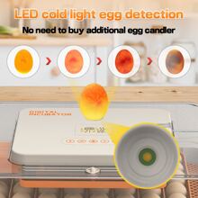 Egg Incubator, Egg Incubator With Automatic Egg Turning And Automatic Water Addition, 56 Eggs Incubator With Egg Candler, Incubator For Chicken Eggs Duck Eggs Quail Eggs - US A Type Plug(110-127V) - View 6
