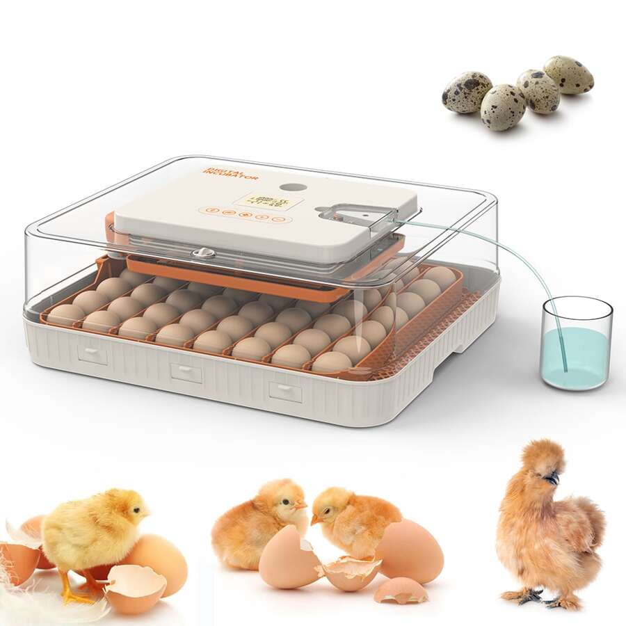 Egg Incubator, Egg Incubator With Automatic Egg Turning And Automatic Water Addition, 56 Eggs Incubator With Egg Candler, Incubator For Chicken Eggs Duck Eggs Quail Eggs
