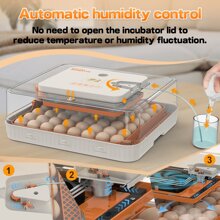 Egg Incubator, Egg Incubator With Automatic Egg Turning And Automatic Water Addition, 56 Eggs Incubator With Egg Candler, Incubator For Chicken Eggs Duck Eggs Quail Eggs - US A Type Plug(110-127V) - View 4