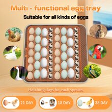 Egg Incubator, Egg Incubator With Automatic Egg Turning And Automatic Water Addition, 56 Eggs Incubator With Egg Candler, Incubator For Chicken Eggs Duck Eggs Quail Eggs - US A Type Plug(110-127V) - View 7