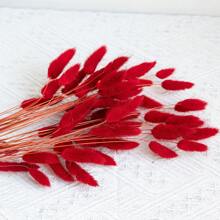 60/120 件兔尾巴干花，红色天然花束，迷你蒲苇散装，适用于家庭、婚礼、餐桌、派对、DIY 工艺品、农舍装饰、餐桌装饰、餐桌摆饰、人造花、塑料花、情人节、礼物 - 紅色 - 查看 9