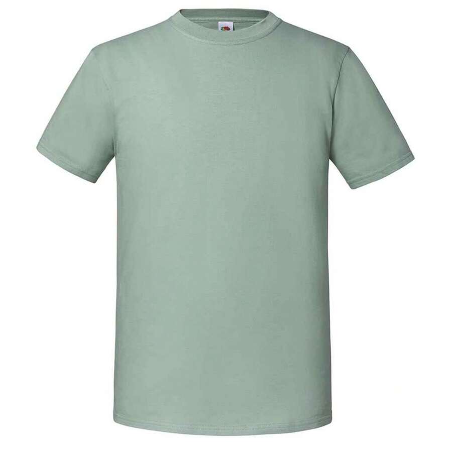 Fruit of the Loom تي شيرت رجالي أيقوني 195 من القطن المغزول الفاخر (لون الميرمية) - 195 جرام/متر مربع 100% قطن مغزول مشط - أخضر - مشاهدة 1
