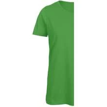 B&C Dames/Dames Inspire T-shirt (echt groen)