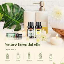 Essential Oils Set - 14*5ml Essentials Oils For Diffusers, Fragrance, Scents For Candle Making, Soap, Aromatherapy Oils For Skin & Hair - Home, Office, Car - 12*5ml - 查看 6