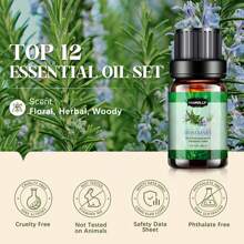 Essential Oils Set - 14*5ml Essentials Oils For Diffusers, Fragrance, Scents For Candle Making, Soap, Aromatherapy Oils For Skin & Hair - Home, Office, Car - 12*5ml - 查看 4