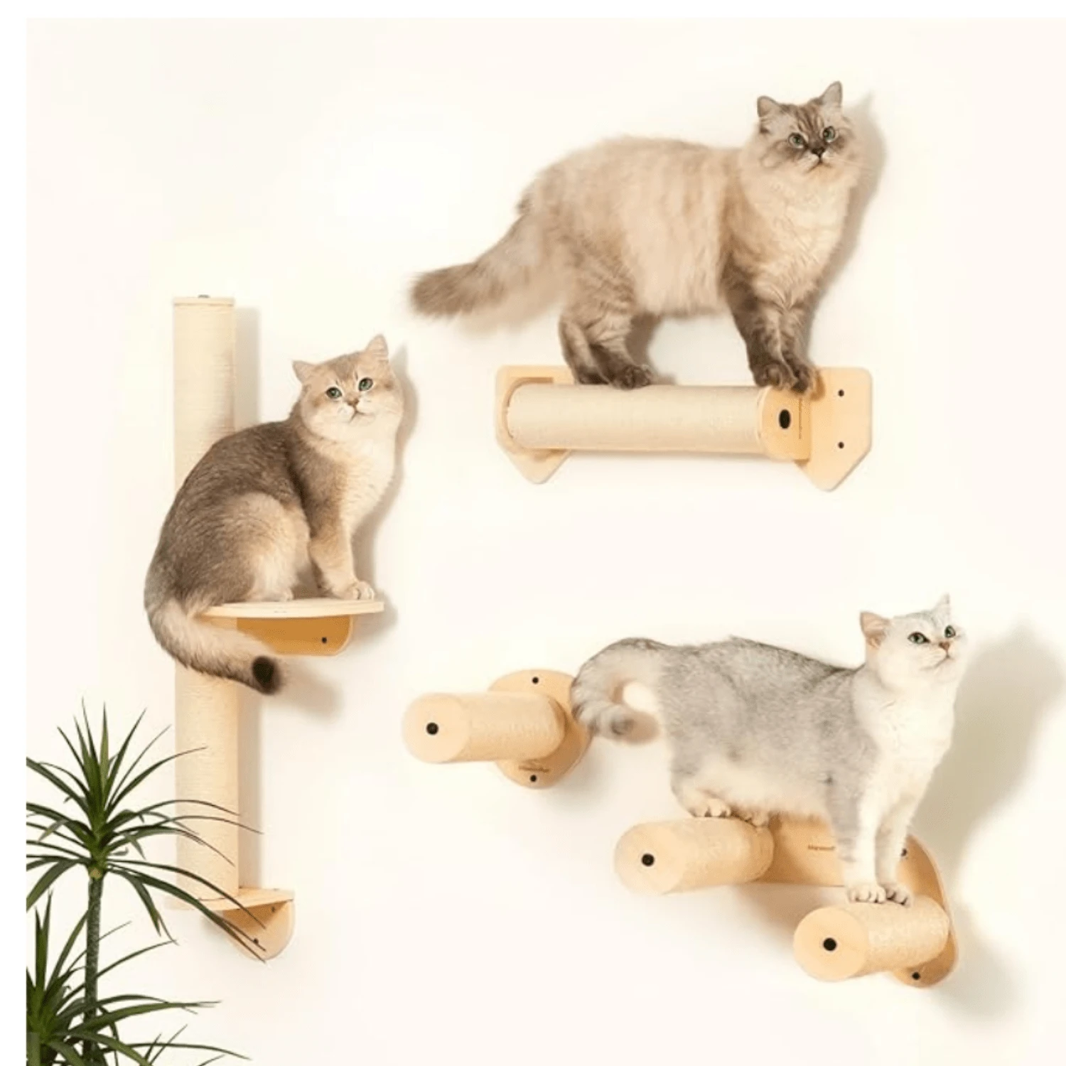 Cat Tower Wall Scratchers COZIWOW 4-Tier Wall-Mounted Cat Tree