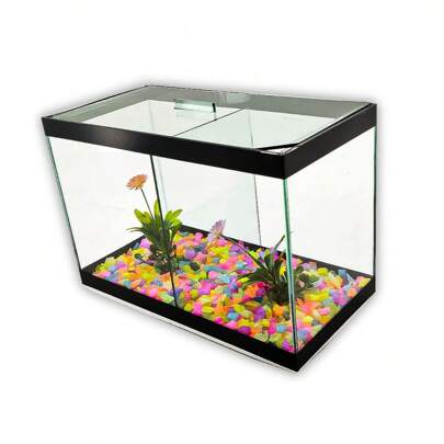 Aquário N3 Duplo Com Divisão Decorado 30x15x20 8,5l 2 Peixes