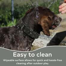 Dog Collar Suitable For Large And Medium-Sized Dogs - Synthetic Leather With Unique Buckle - Heavy-Duty, Soft And Comfortable - Multicolor - View 10