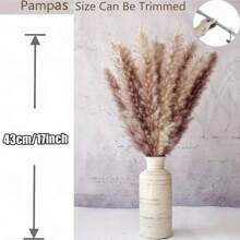 50 件干蒲苇花束，波西米亚风格餐桌装饰，兔尾干花，棕色蒲苇，白色蒲苇，适用于婚礼、家居、乡村派对、婴儿洗礼装饰礼物、生日毕业典礼、秋季装饰、秋季