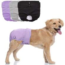 Dog Menstruation Pants, Dog Menstruation Pads, Anatomically Designed For Both Male And Female Dogs, Comfortable And Free Movement