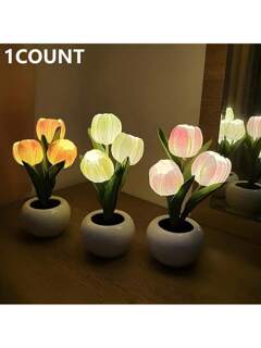 Tools & Home Improvement