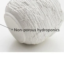 8-Inch Ceramic Floral Planter, Houseplant Planter For Water Growing, No Drainage Holes