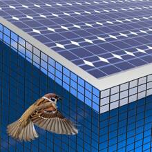 100ft Solar Panel Bird Wire Mesh Guard Kit Pigeon Bird Proofing Clips Net 6" UK - 1 - View 6