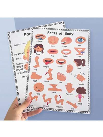 2pcs A4 Body Part Posters, Cartoon Style Anatomy Chart Educational Wall Decor For Kids