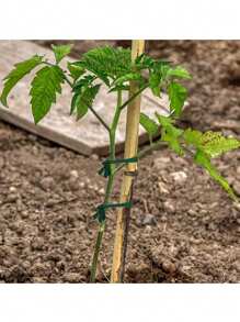 1-3pcs Plant Ties, Flexible Green Garden Twine, Soft Stretchy Plant Support String For Climbing Plants & Lawn Care, Bamboo Cane Wrap Support Accessories, For Garden Office And Home Cable Organizing, Craft Supplies