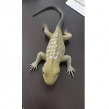 1 pieza Juguete realista de lagartija/camaleón de plástico blando, envío de estilo aleatorio, con sonido y apretable - Multicolor - Ver 2