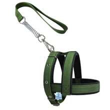 Dog Collar With Walking Lead, Comfortable And Durable Lined Vest - màu xanh lá - Xem 7