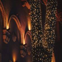 LED Light String 10 Feet/20 Feet/33 Feet Battery Powered, Outdoor Fairy Light String For Wedding, Party, Garden Decoration (Warm White) - White - View 10