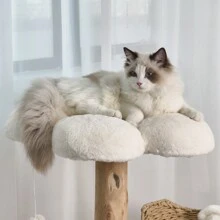 BingoPaw Climbing Tree Tower Cat Scratching Post For Indoor Cats Kitten Play Tower Activity Centre Climbing Stand With Dangling Ball - Wood+White - View 7