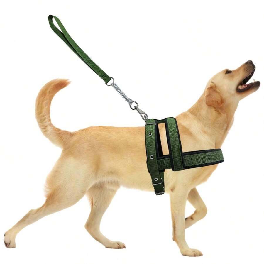 Dog Collar With Walking Lead, Comfortable And Durable Lined Vest - màu xanh lá - Xem 1