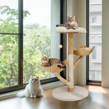 BingoPaw Climbing Tree Tower Cat Scratching Post For Indoor Cats Kitten Play Tower Activity Centre Climbing Stand With Dangling Ball - Wood+White - View 8